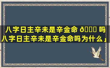 八字日主辛未是辛金命 🐎 吗「八字日主辛未是辛金命吗为什么」